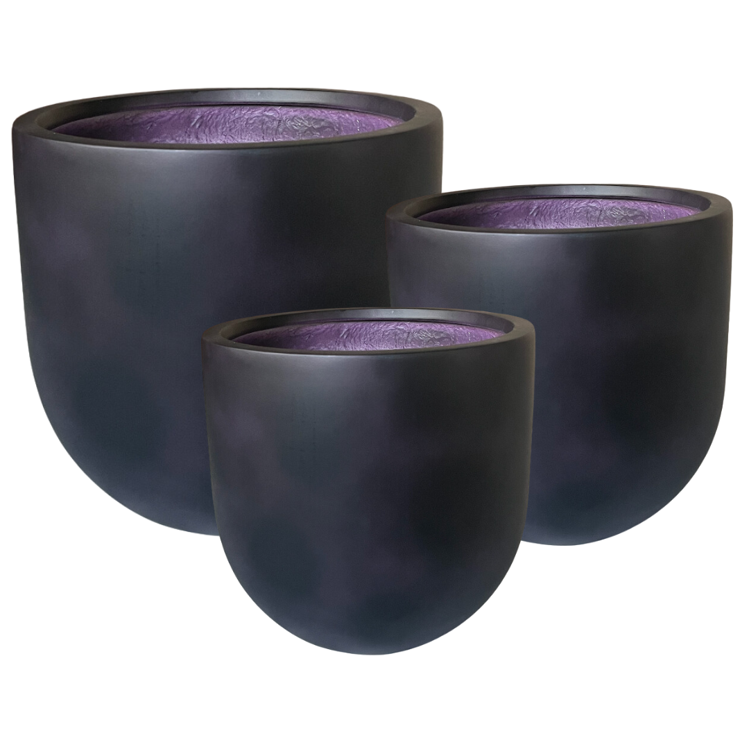 Altair Planter - Java Plum