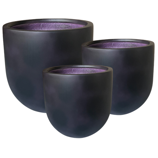 Altair Planter - Java Plum